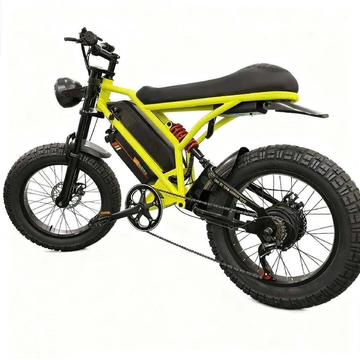 CHOOYOU E-bike suppliers