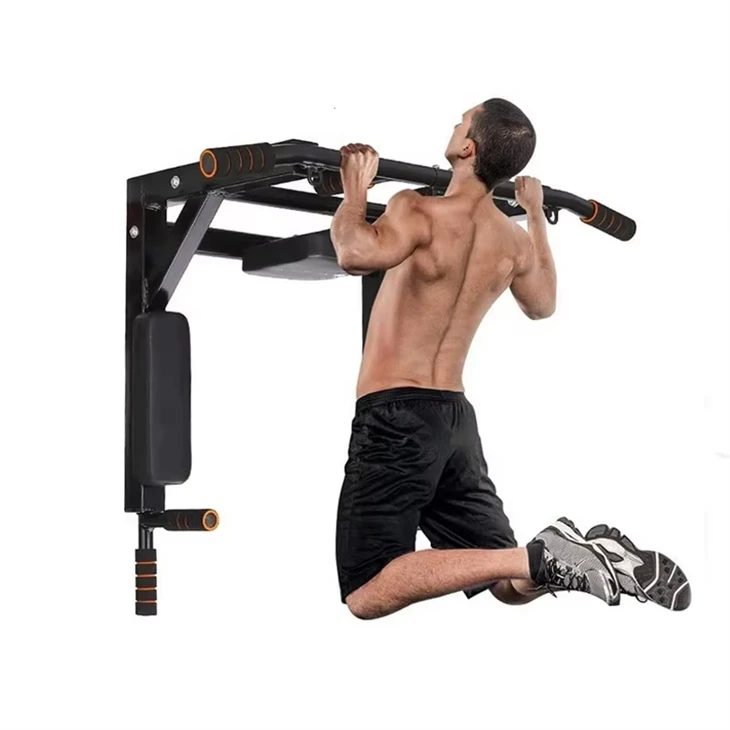 CHOOYOU Wall Mounted Chin Up Bar suppliers